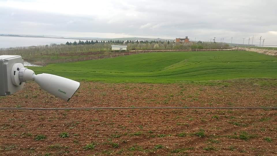 Turkish fields (1)